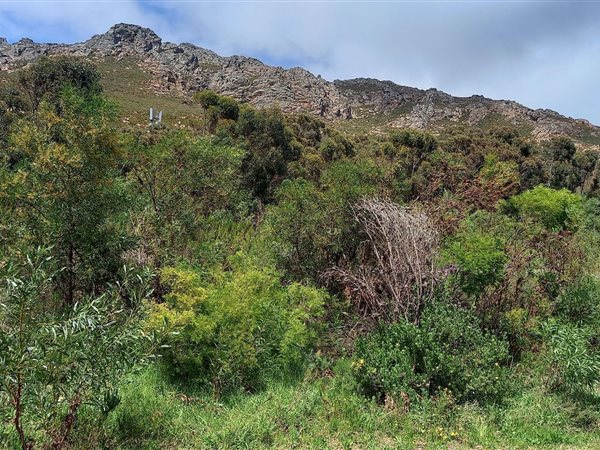 777 m² Land available in Gordons Bay Central