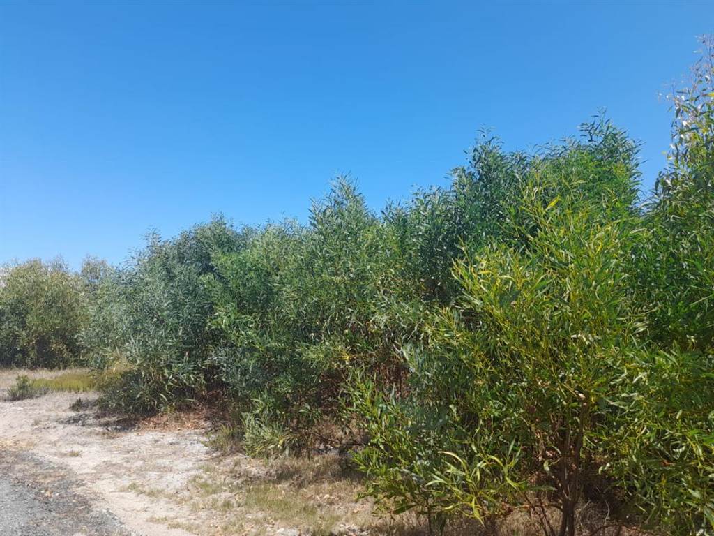 984 m² Land available in Franskraal photo number 4