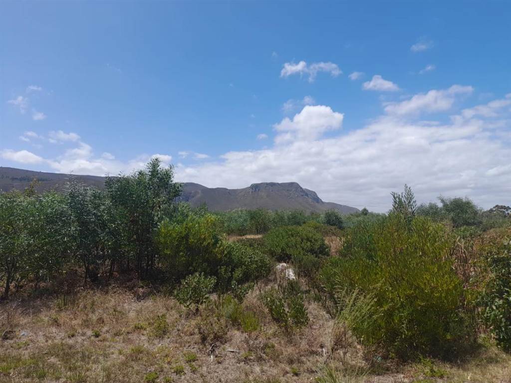 984 m² Land available in Franskraal photo number 3