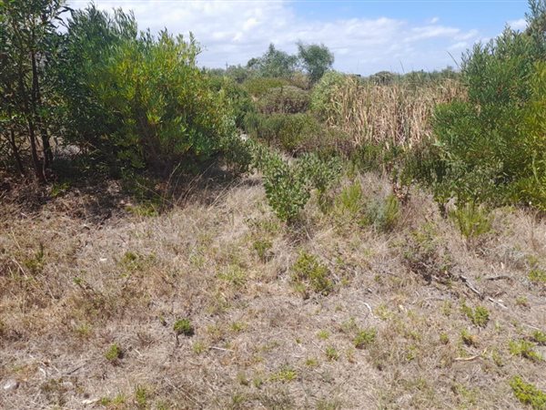 984 m² Land available in Franskraal