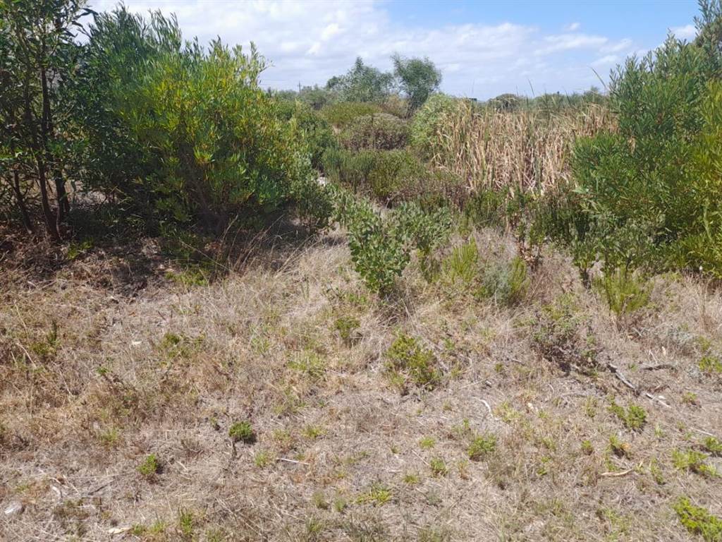 984 m² Land available in Franskraal photo number 1