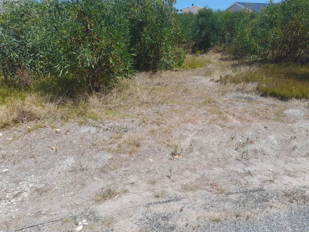 984 m² Land available in Franskraal photo number 5