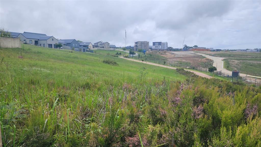 708 m² Land available in Blue Mountain Village photo number 5