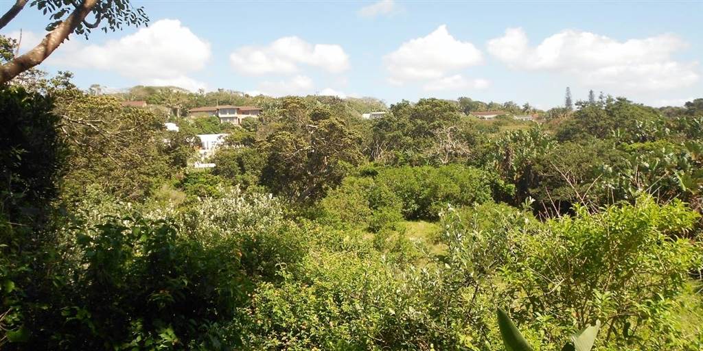 4081 m² Land available in Glenmore photo number 8