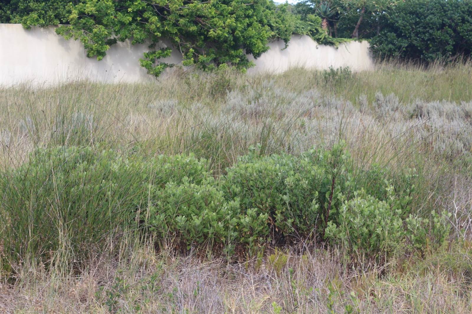 814 m² Land available in Stilbaai photo number 3