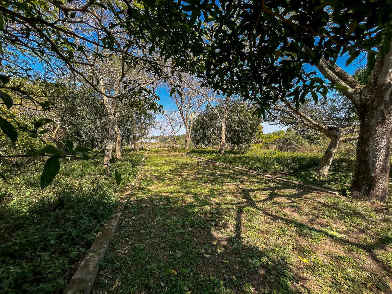 1.9 ha Land available in Crestview photo number 1