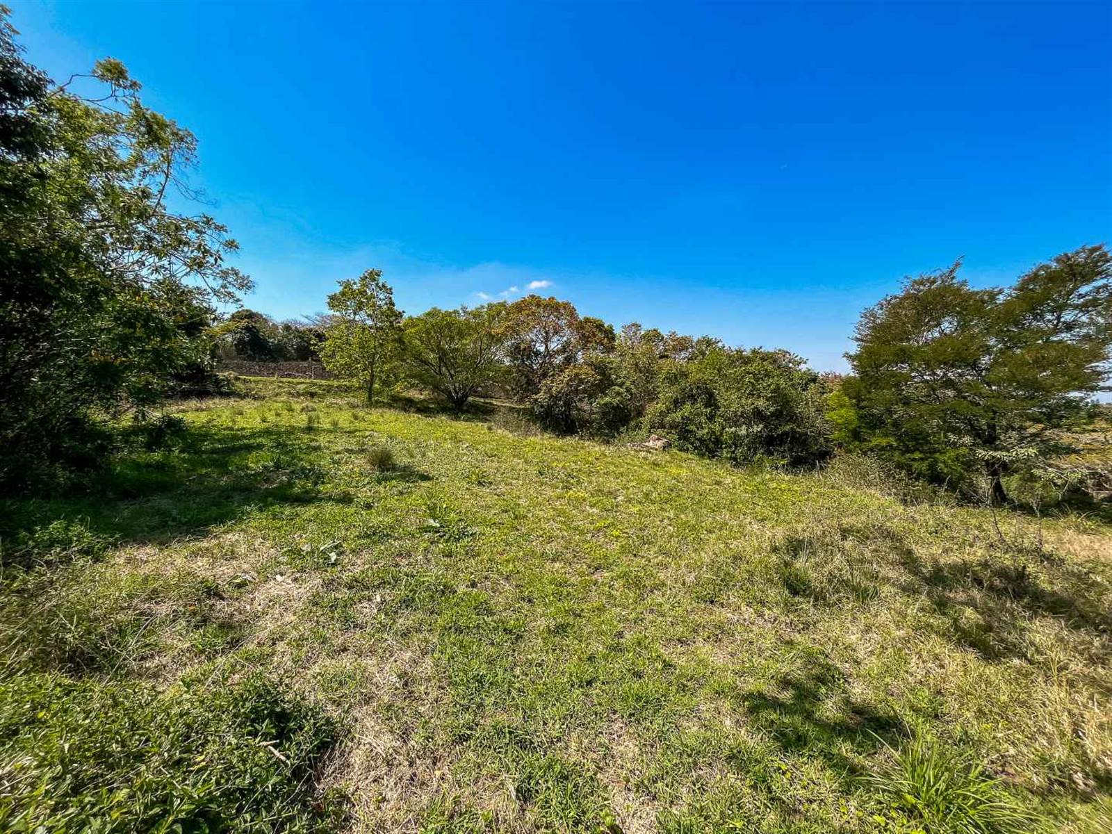 1.9 ha Land available in Crestview photo number 26
