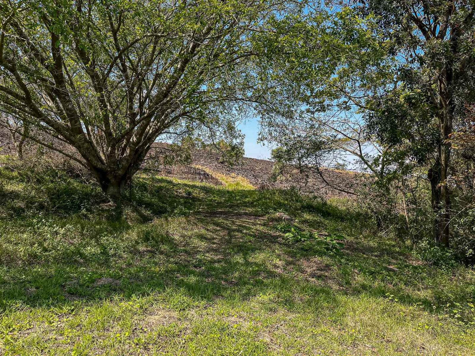 1.9 ha Land available in Crestview photo number 23