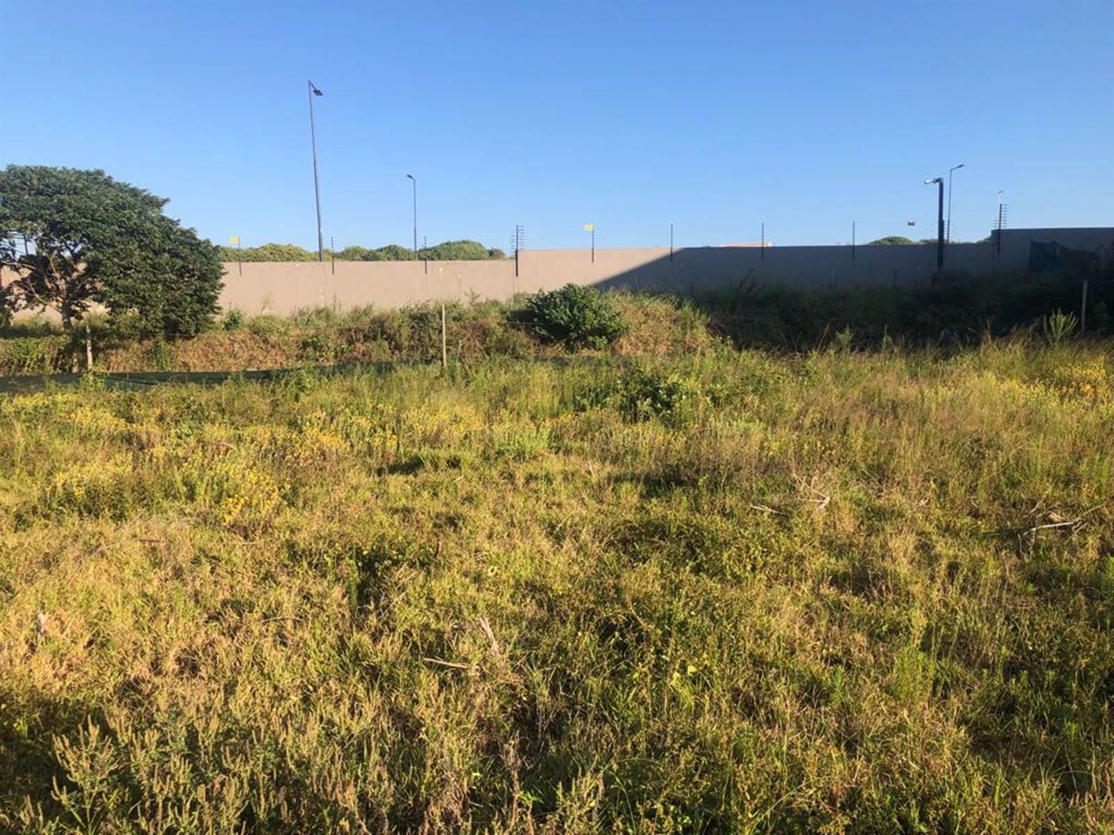 1017 m² Land available in Sibaya Precinct photo number 9