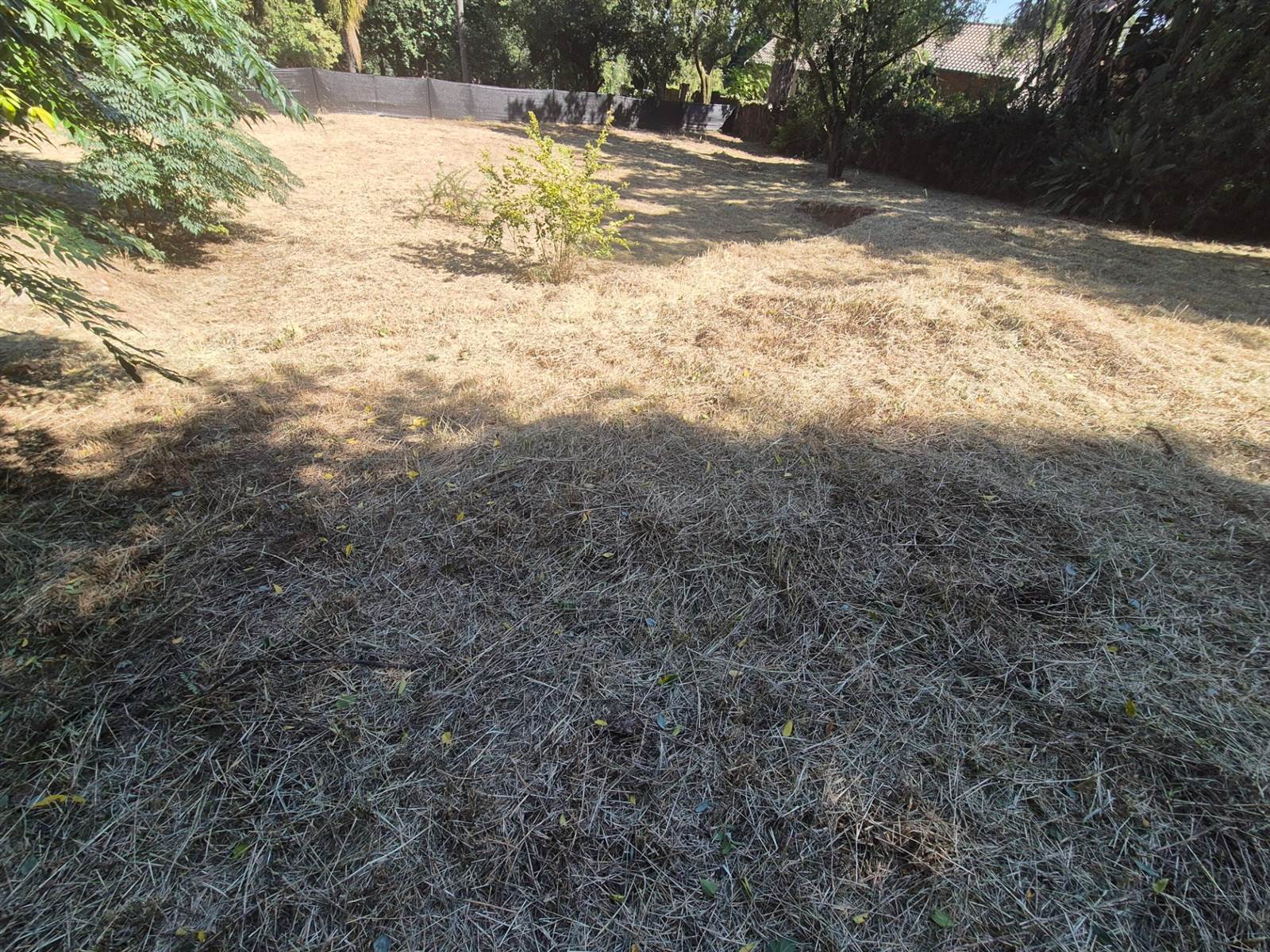 1292 m² Land available in Menlo Park photo number 5