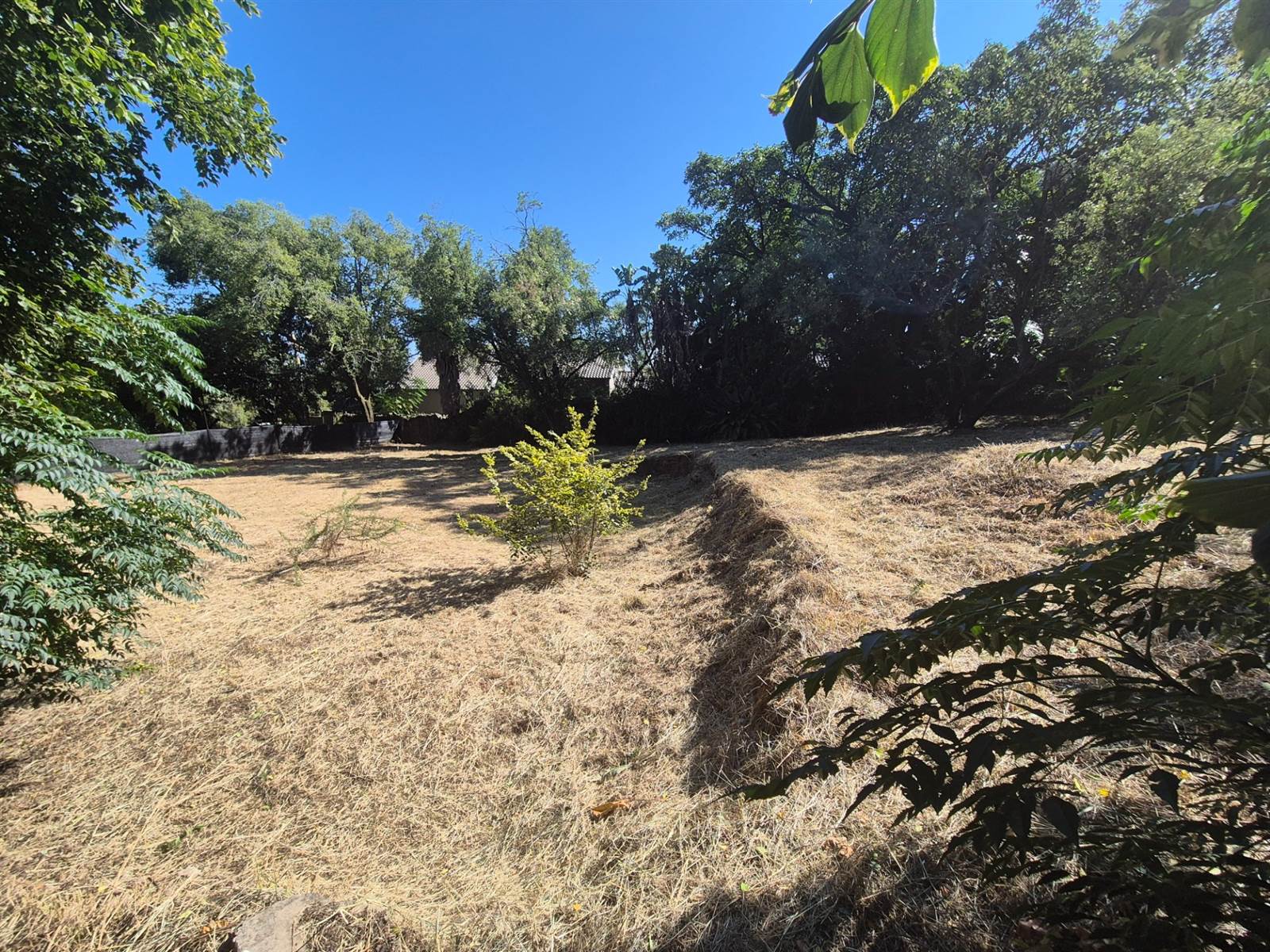 1292 m² Land available in Menlo Park photo number 4