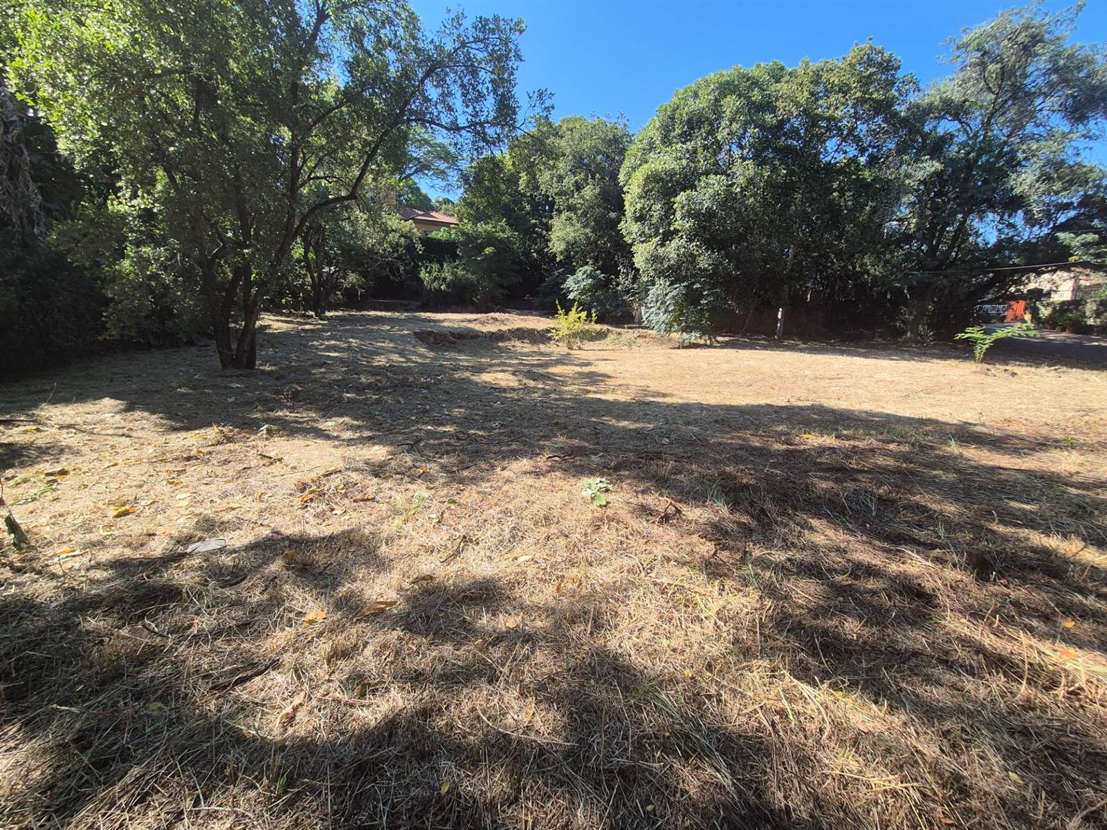 1292 m² Land available in Menlo Park photo number 8