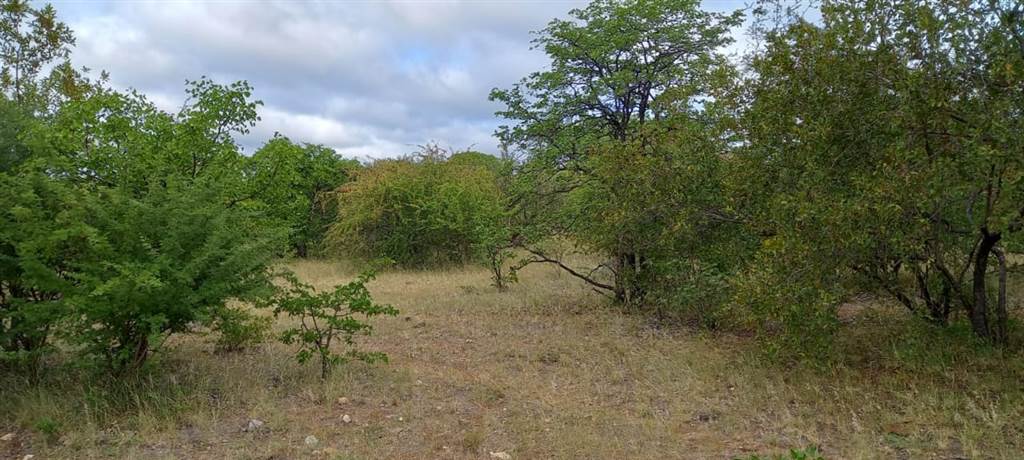 21 ha Land available in Musina photo number 2