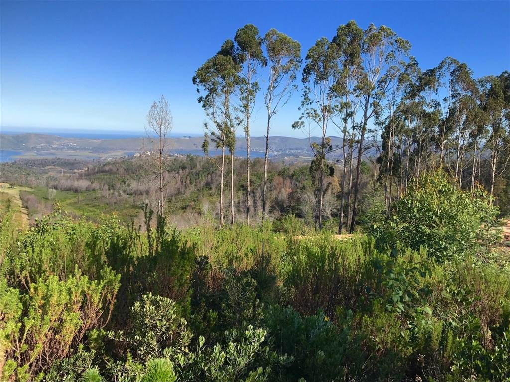 101 ha Land available in Knysna Central photo number 3