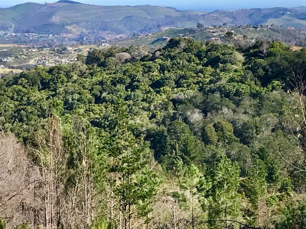 101 ha Land available in Knysna Central photo number 5
