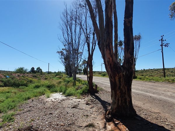 1285 m² Land available in Willowmore