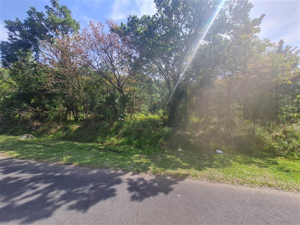 1351 m² Land available in Palm Beach