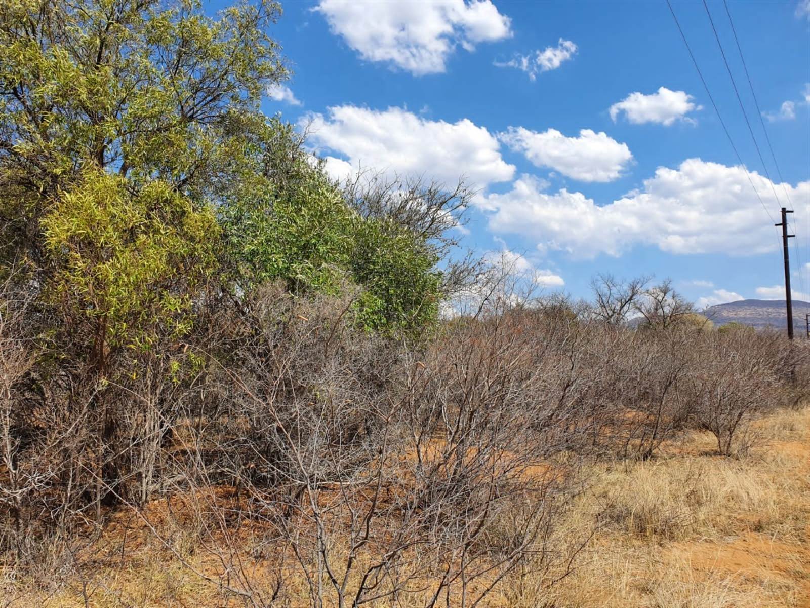 6060 m² Land available in Thabazimbi photo number 5
