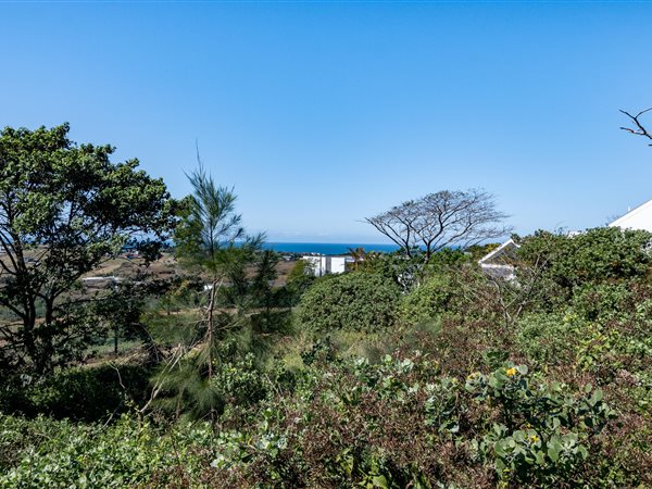 1117 m² Land available in Elaleni Coastal Forest Estate