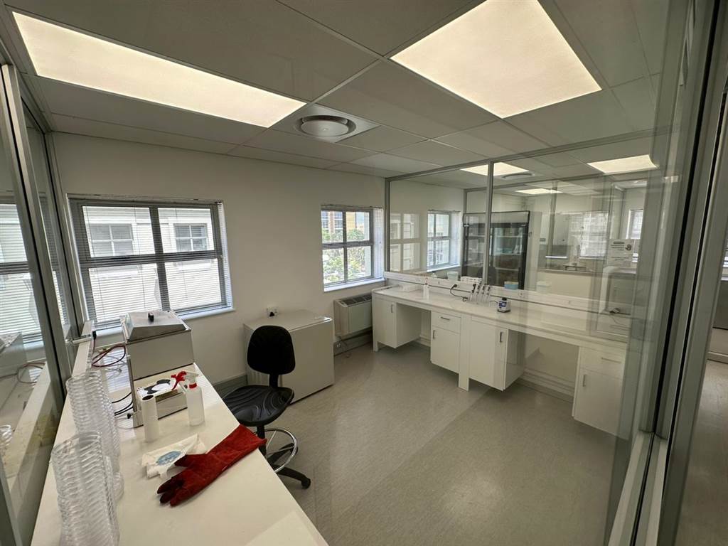 604  m² Commercial space in Pinelands photo number 17