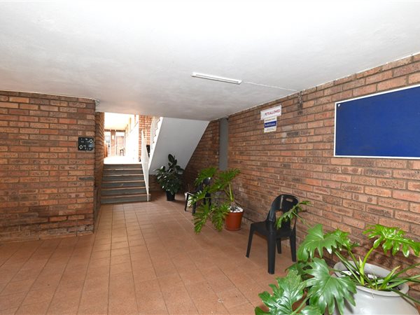 Bachelor apartment in Casseldale