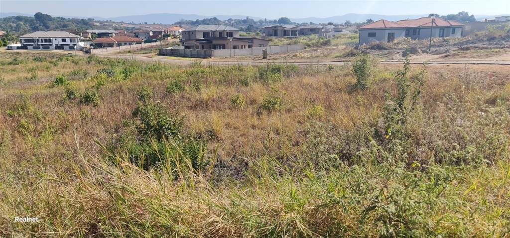 1615 m² Land available in Tzaneen photo number 6
