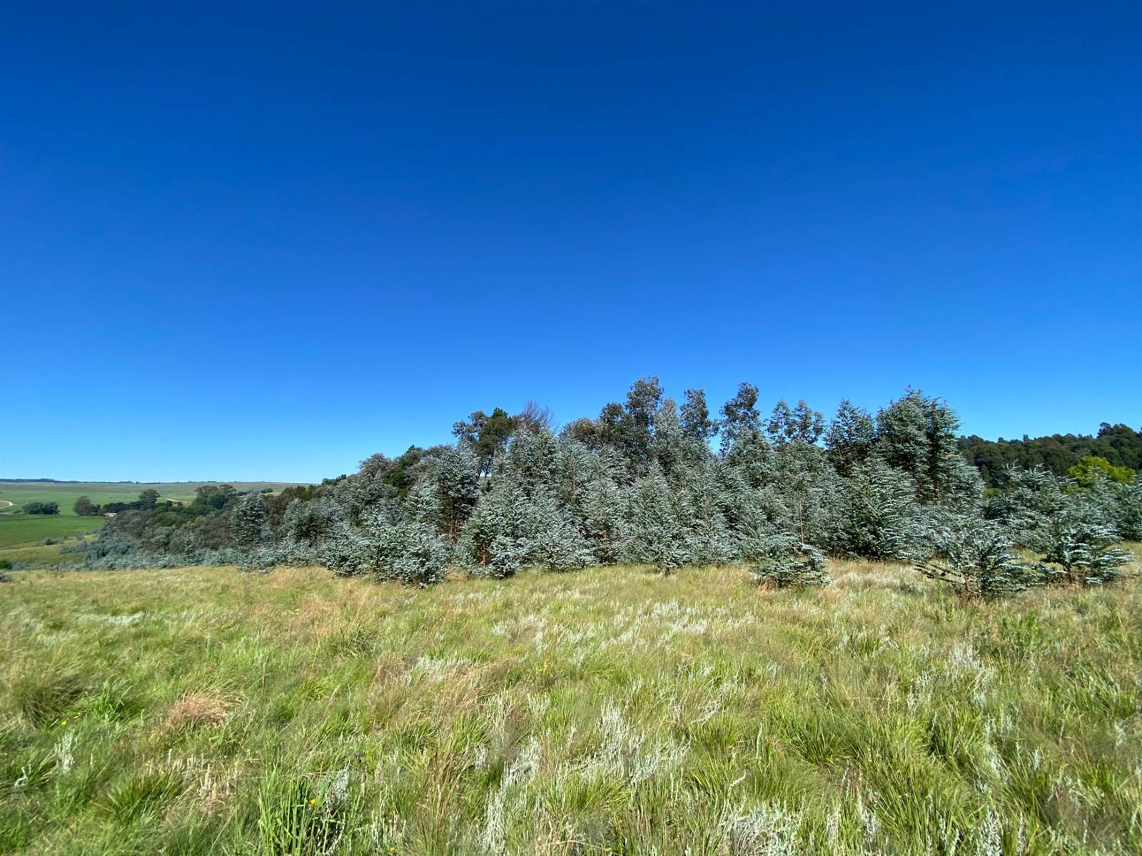 5665 m² Land available in Underberg photo number 4