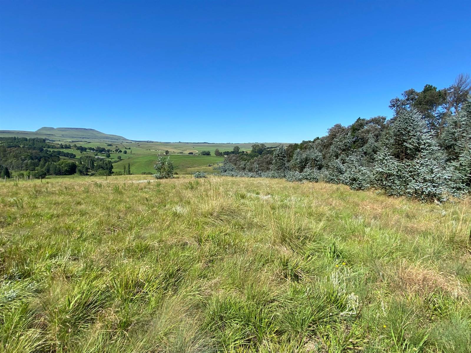 5665 m² Land available in Underberg photo number 5