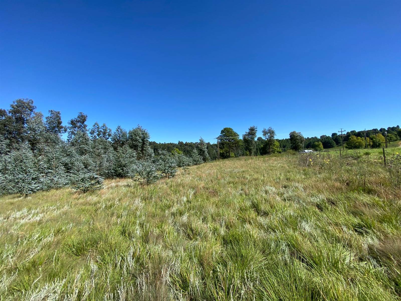 5665 m² Land available in Underberg photo number 3