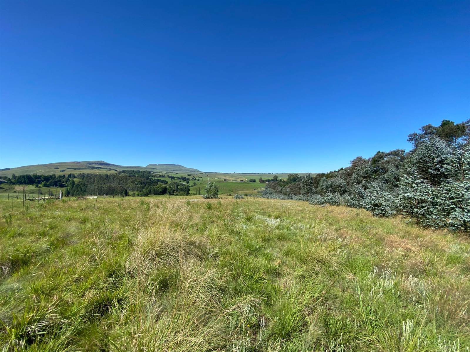 5665 m² Land available in Underberg photo number 2