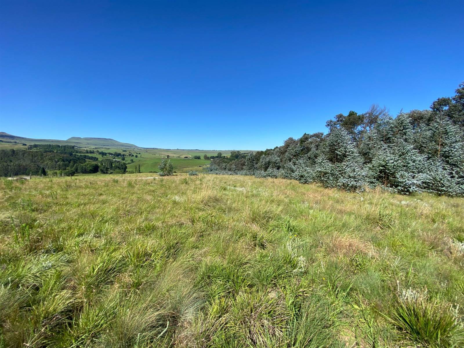 5665 m² Land available in Underberg photo number 1