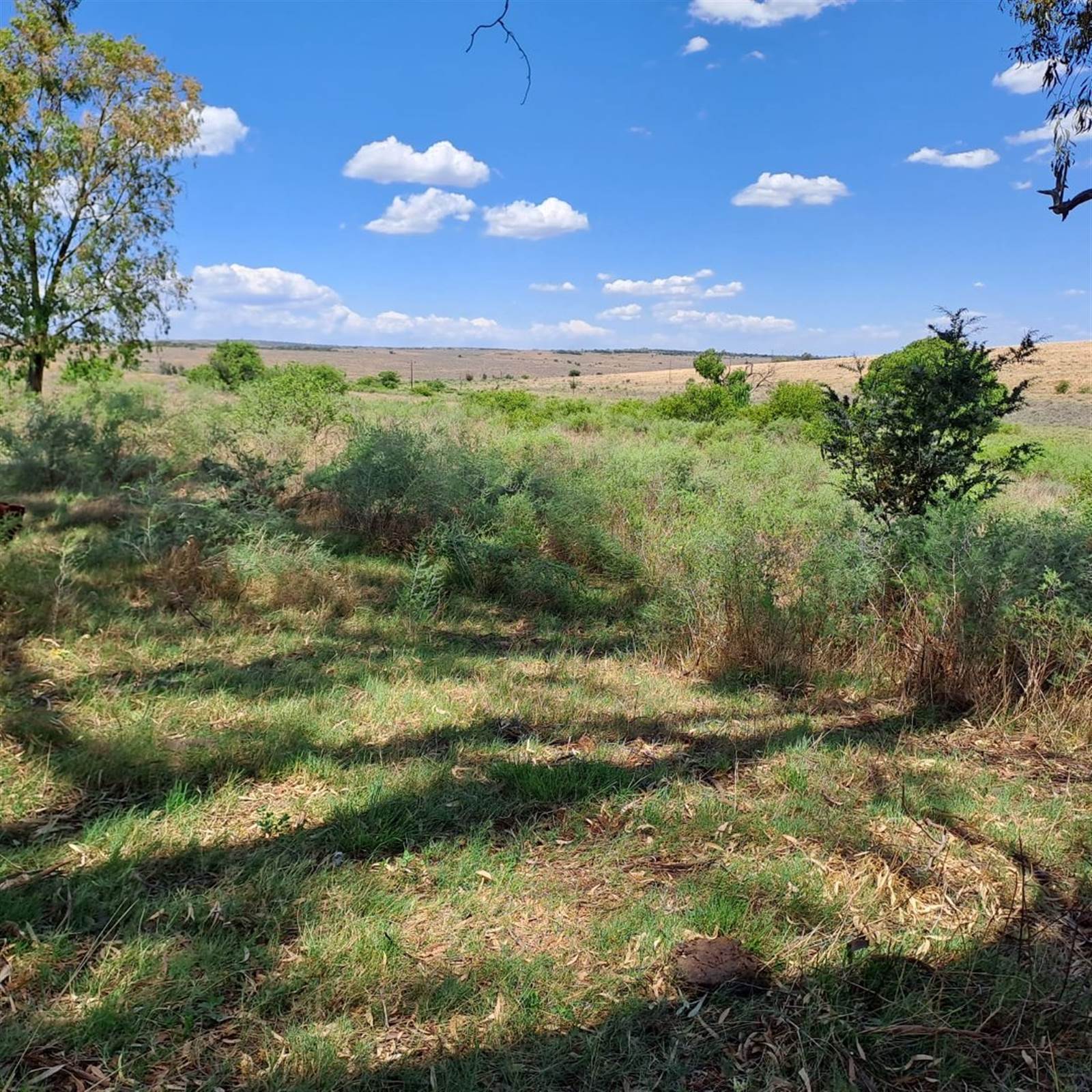 256.9 ha Farm in Hartbeesfontein photo number 9