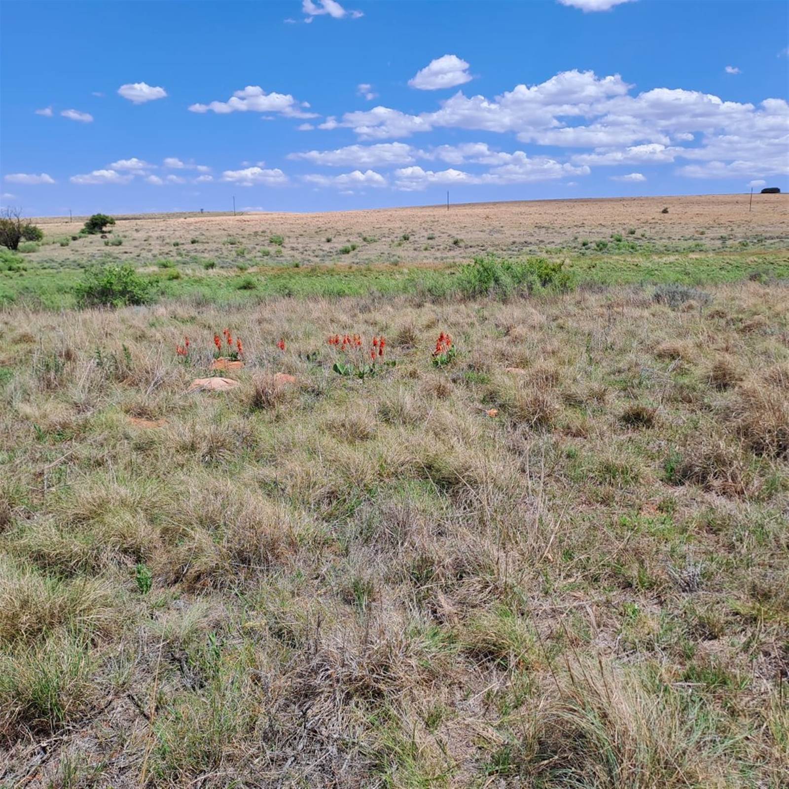256.9 ha Farm in Hartbeesfontein photo number 12