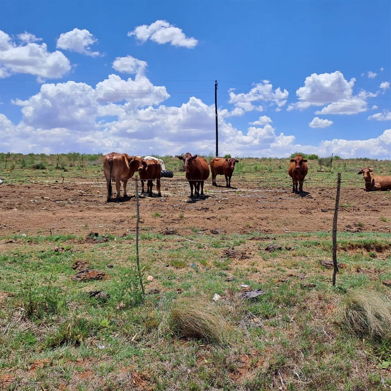 256.9 ha Farm in Hartbeesfontein photo number 5