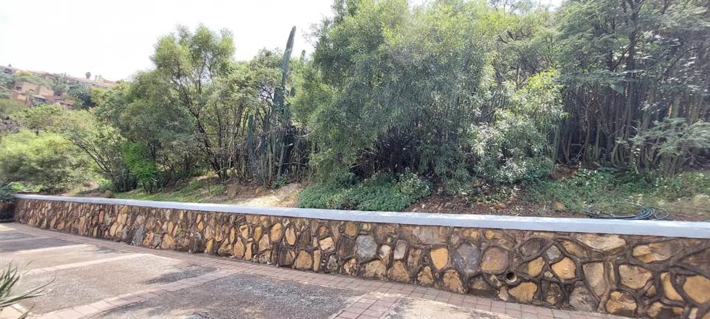 4767 m² Land available in Bassonia photo number 9