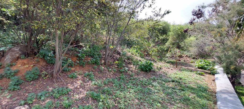 4767 m² Land available in Bassonia photo number 7
