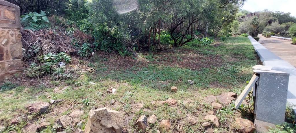 4767 m² Land available in Bassonia photo number 3