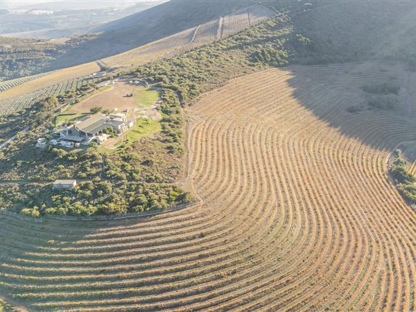 129 ha Farm in Durbanville Hills