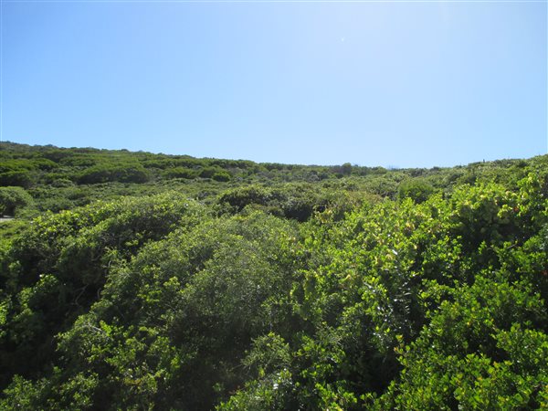 3 100 m² Land