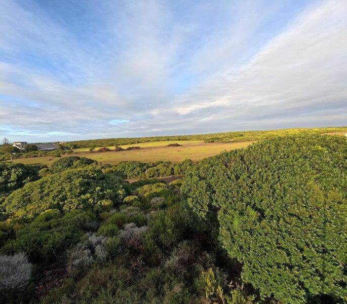 622 m² Land available in Kleinbaai photo number 9