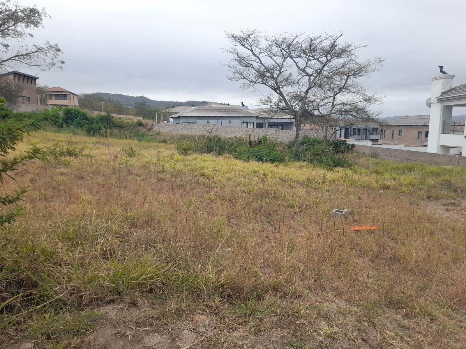 671 m² Land available in Drum Rock photo number 7