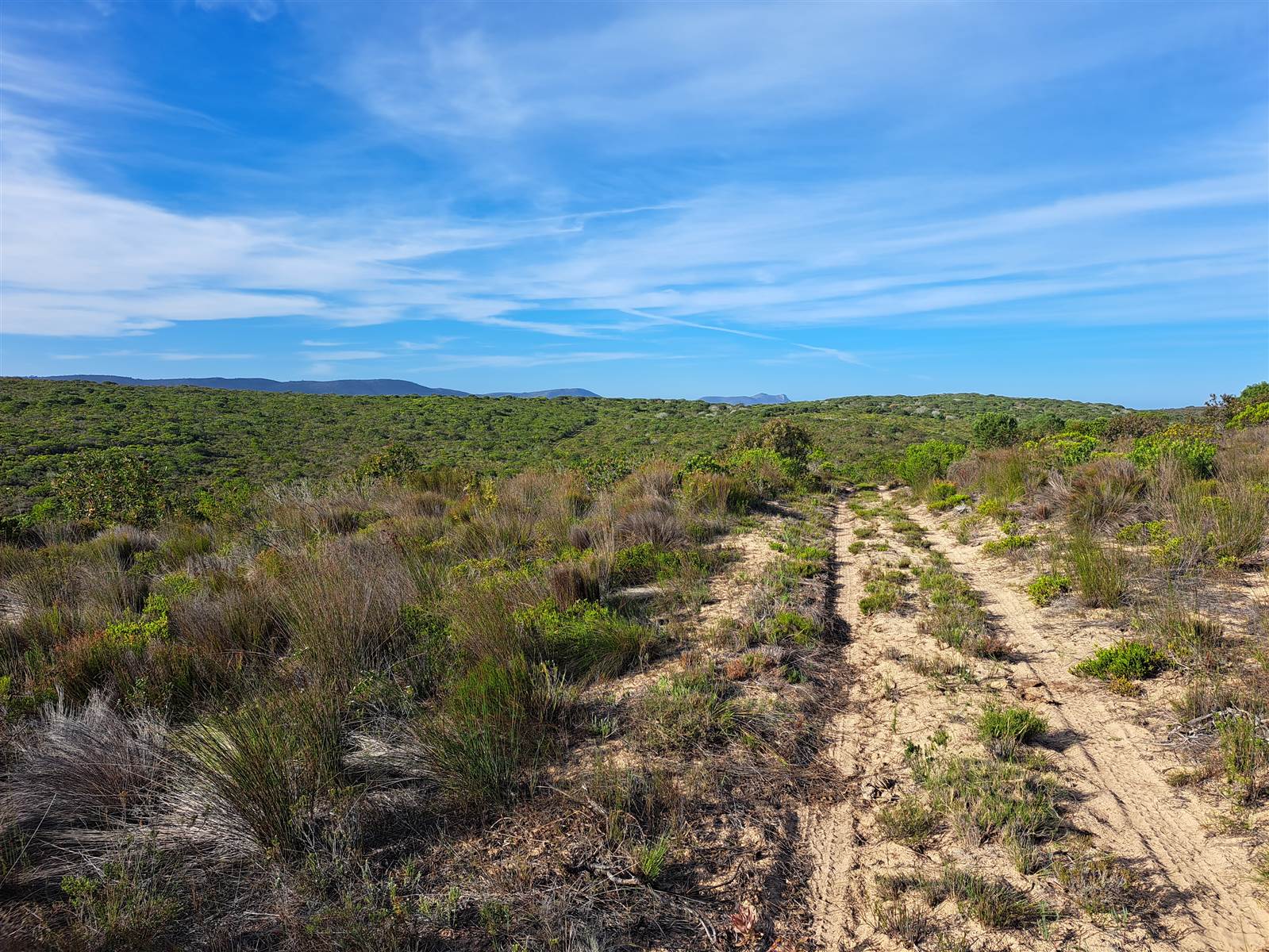 433 ha Farm in Stilbaai photo number 14