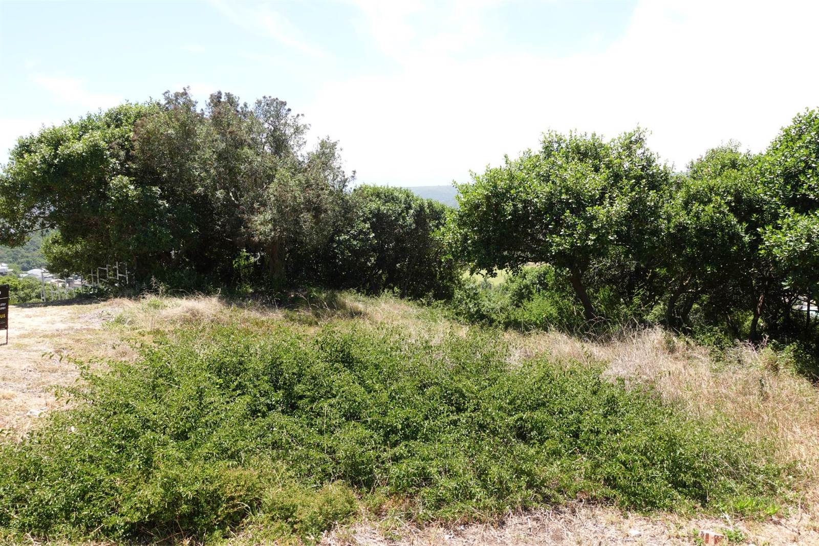 1168 m² Land available in Great Brak River photo number 4