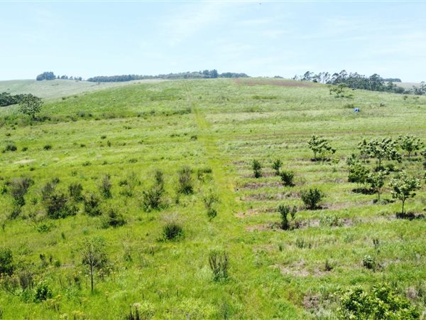 4.8 ha Land available in Cato Ridge