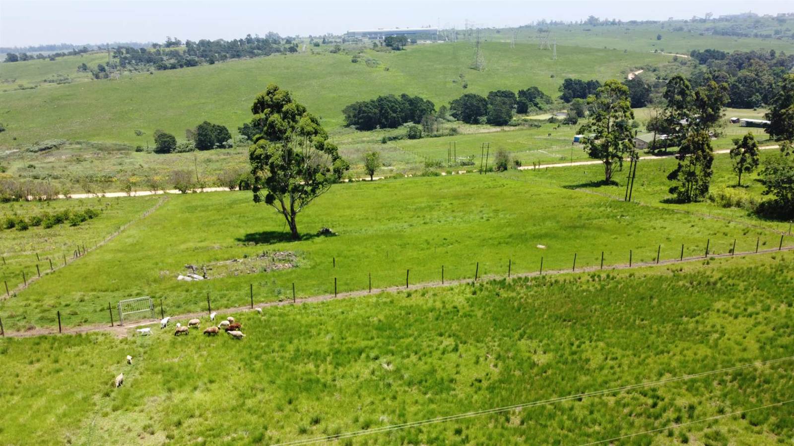 4.8 ha Land available in Cato Ridge photo number 4