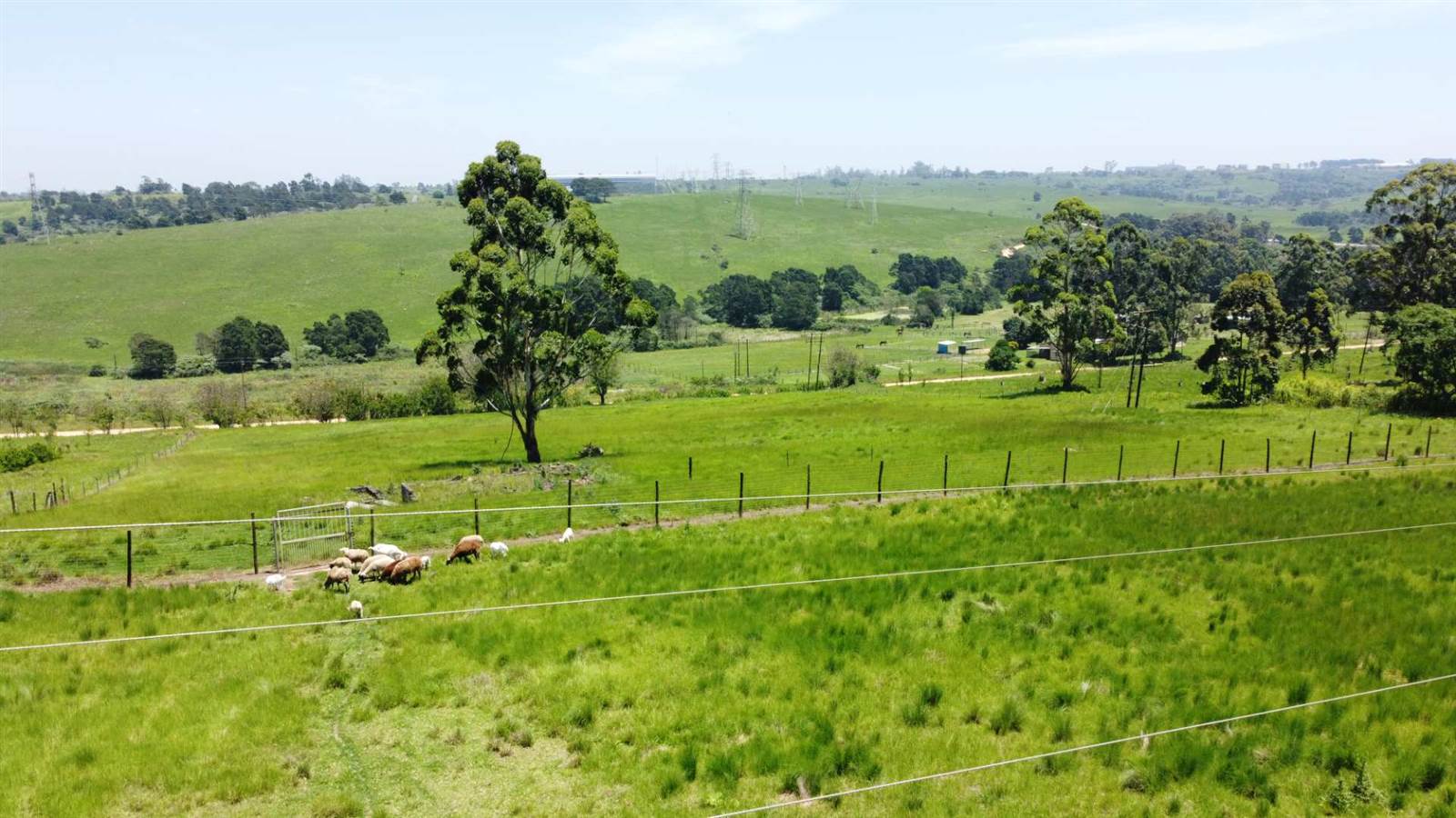 4.8 ha Land available in Cato Ridge photo number 6