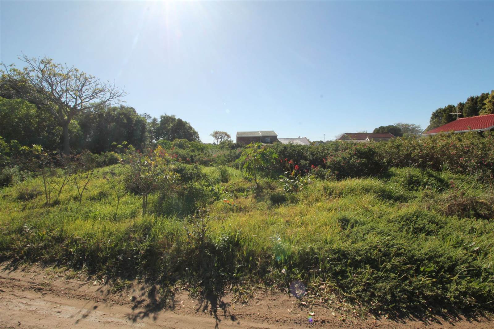 1149 m² Land available in West Bank photo number 3