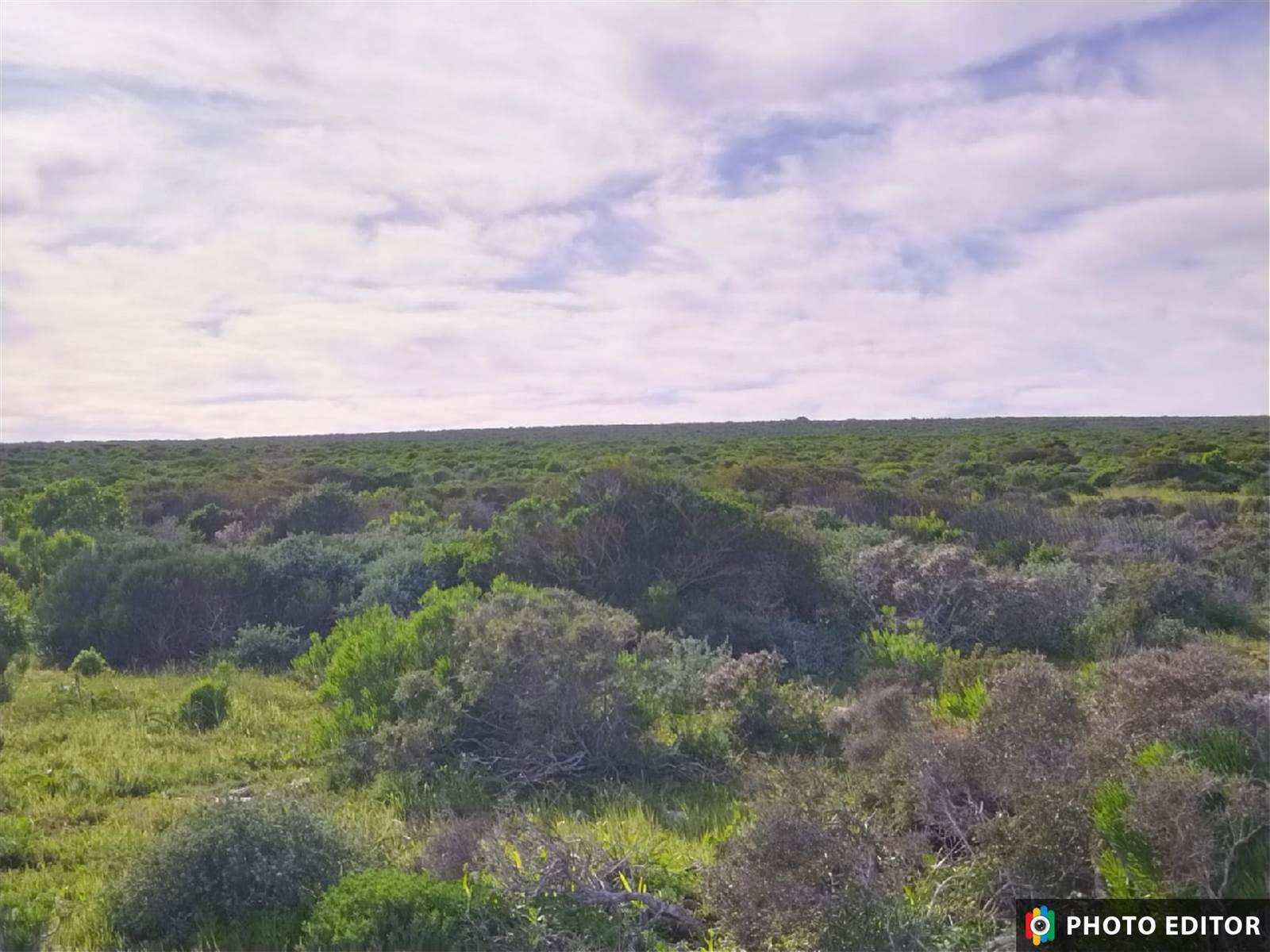 2.5 ha Land available in Jacobsbaai photo number 8