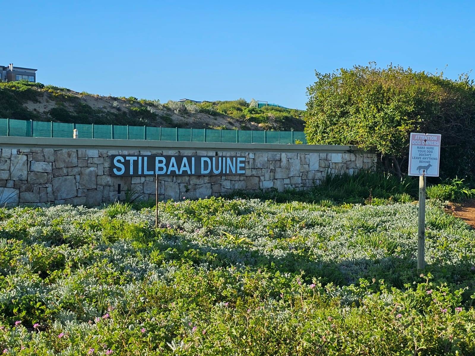 500 m² Land available in Stilbaai photo number 8