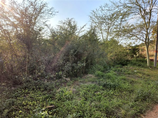 1253 m² Land available in Cashan